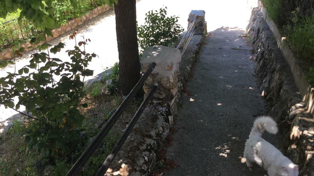Olmeda de las Fuentes El Mirador Del Chorrilloヴィラ エクステリア 写真